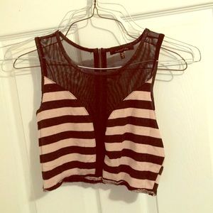 Mesh stripe crop top